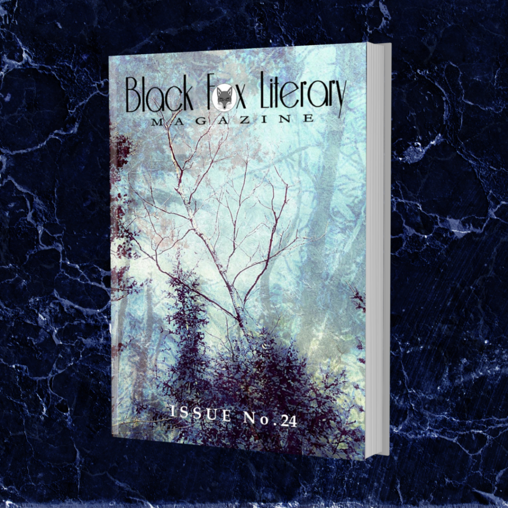 Blue Marble Background with image of Black Fox Literary Magazine Issue #24 which contains bluish forest and bare branches