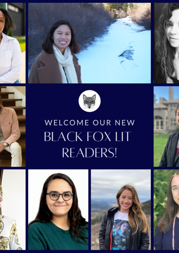 Introducing the New Black Fox Lit Readers!